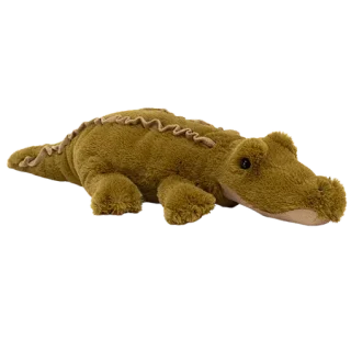 Lollybob Caiman