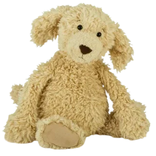 Raggedy Pup