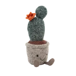Silly Succulent Prickly Pear Cactus