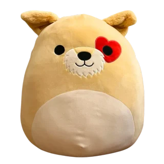 Cooper (Heart Eye)