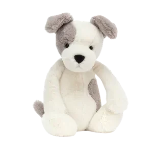 Bashful Terrier