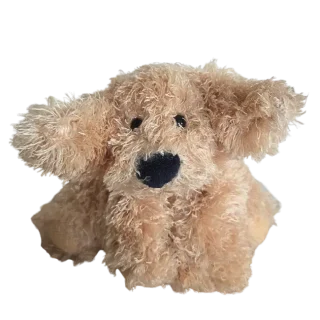 Truffles Retriever