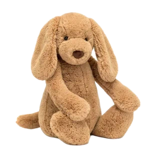 Bashful Toffee Puppy