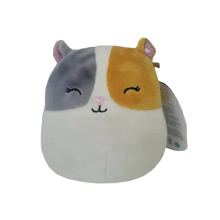 Pax
