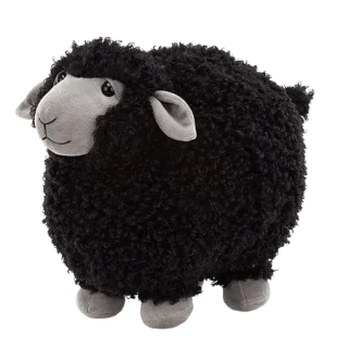 Rolbie Black Sheep