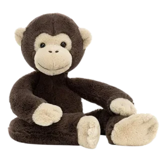 Pandy Chimpanzee