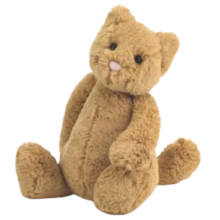 Bashful Ginger Cat