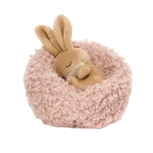 Hibernating Bunny
