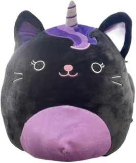 Nixy