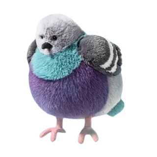 Leicester Pigeon 🇬🇧