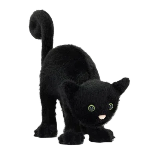 Spookipaws Cat