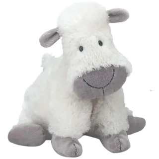 Truffles Sheep 2011