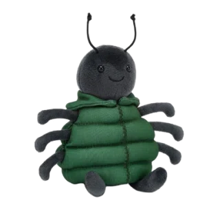 Anoraknid Black Spider
