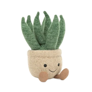 Amuseable Aloe Vera Small