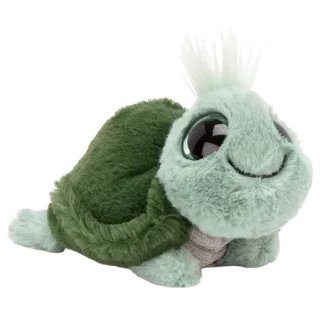 Frizzles Tortoise