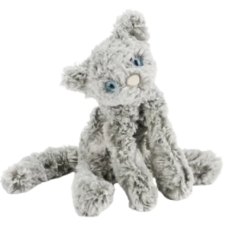 Silver Kooky Cat