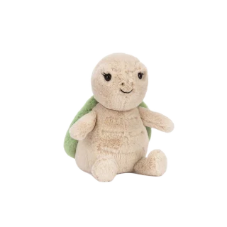 Thimble Turtle