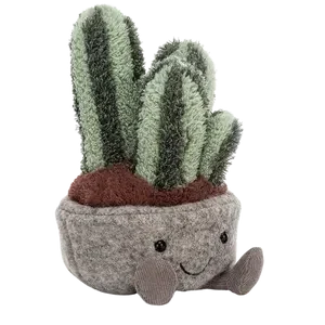 Silly Succulent Columnar Cactus
