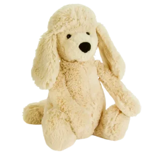 Bashful Poodle Pup