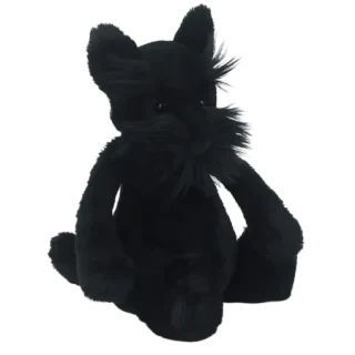 Bashful Scottie