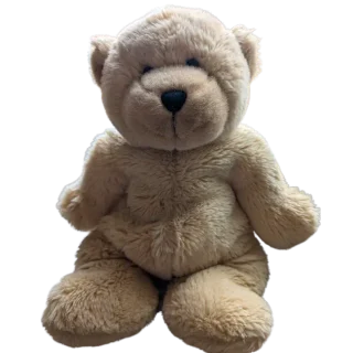 Squidgy Bear