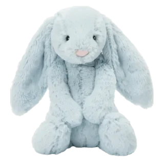 Bashful Beau Bunny