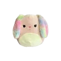 Bop (Rainbow eared)