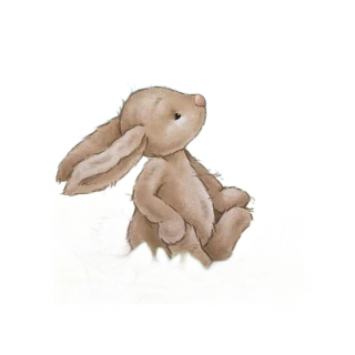 Lapin Timide Et Ses Petites Aventures Livre
