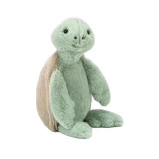 Bashful Turtle