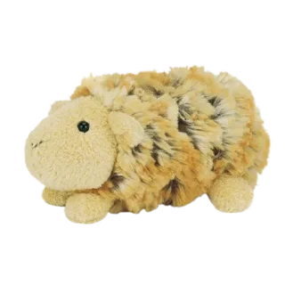 Curly Gorgeous Guinea Pig