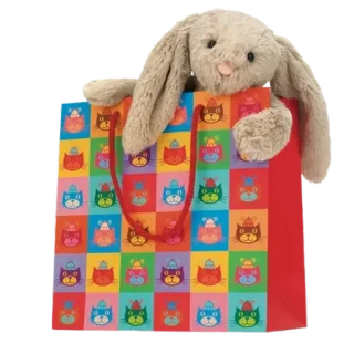 Classic Gift Bag