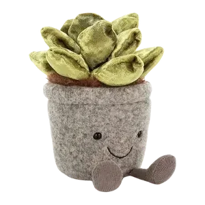 Silly Succulent Jade