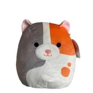 Everett (Learning Express)