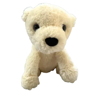 Starry Eyed Polar Bear