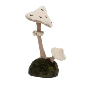 Wild Nature Parasol Mushroom