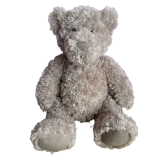 Oscar Bear