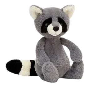 Bashful Raccoon