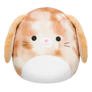 Renard