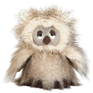Ania Owl