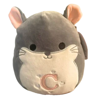 Camilo (Valentine)
