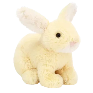 Minilop Lemon Bunny
