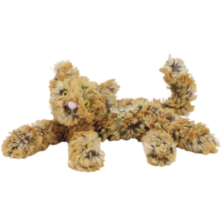 Ginger Kooky Cat