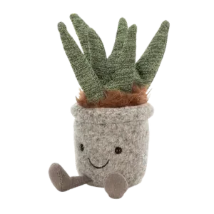 Silly Succulent Aloe