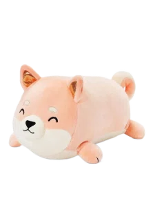 Cora the Shiba Inu