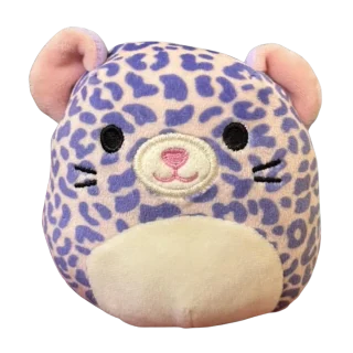 Capsule Cheetah