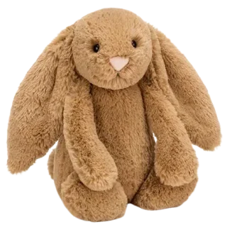 Bashful Biscuit Bunny