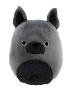 Regz