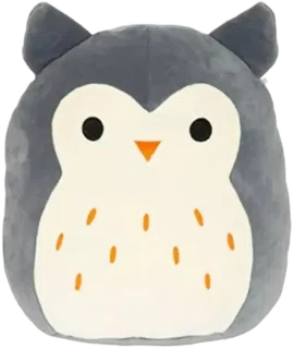 Hoot