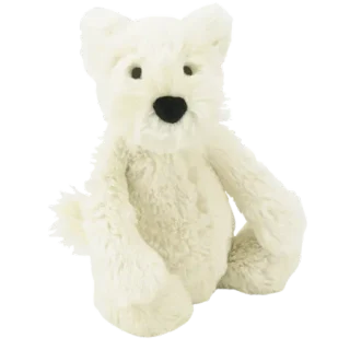 Bashful Westie