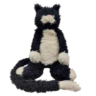 Bunglie Black Kitten